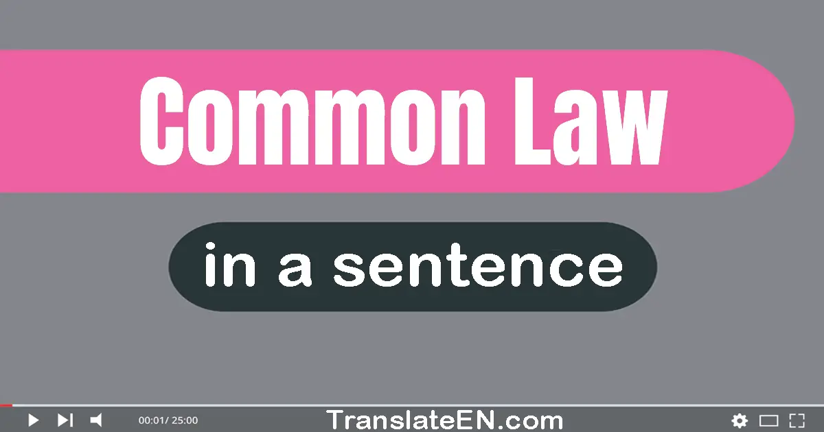Use "common law" in a sentence | "common law" sentence examples