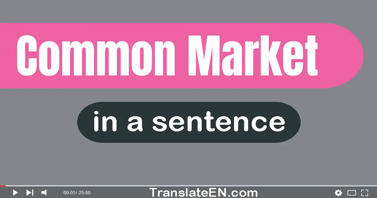 Use "common market" in a sentence | "common market" sentence examples