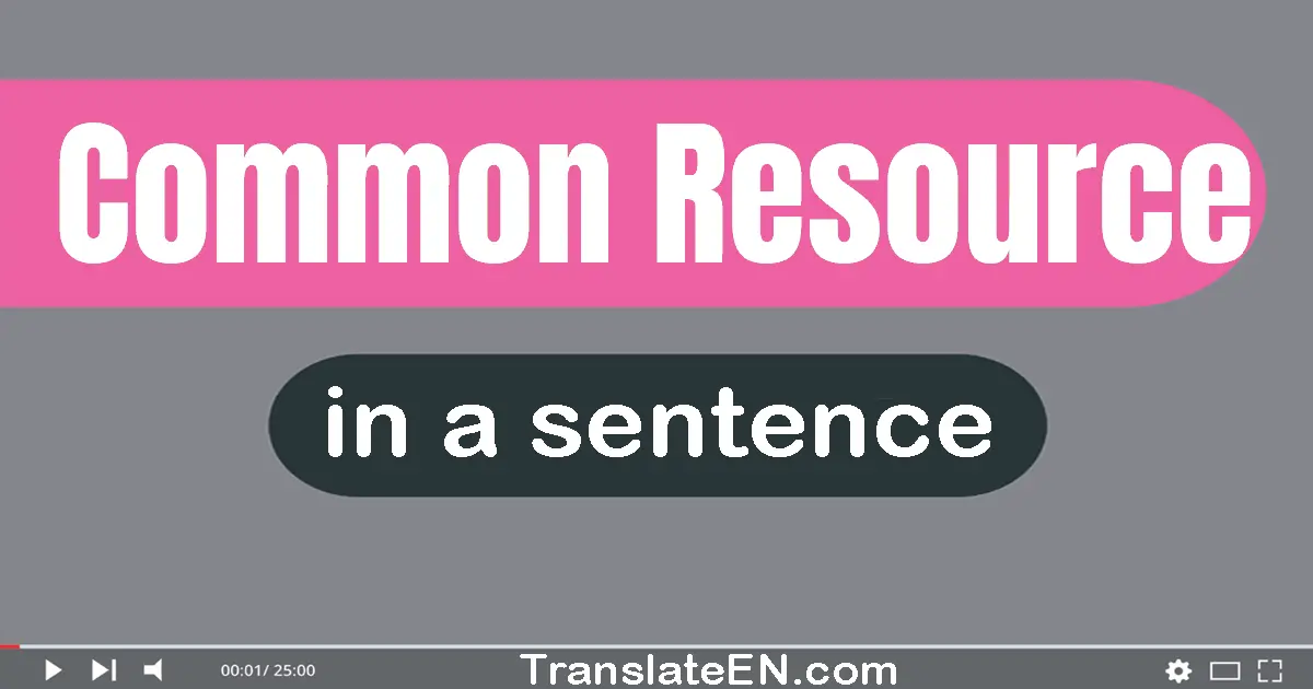 Use "common resource" in a sentence | "common resource" sentence examples