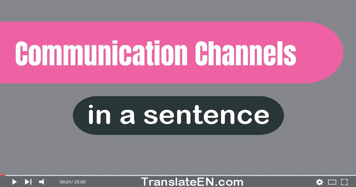 Use "communication channels" in a sentence | "communication channels" sentence examples