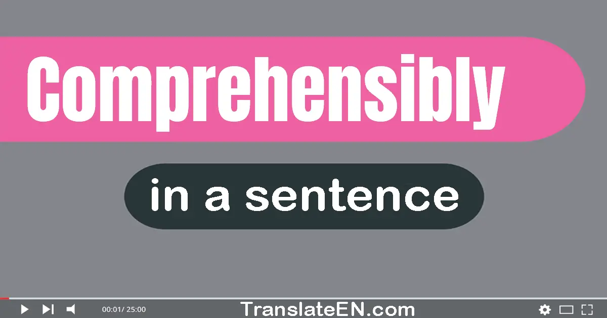 Use "comprehensibly" in a sentence | "comprehensibly" sentence examples
