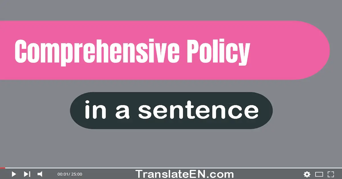 Use "comprehensive policy" in a sentence | "comprehensive policy" sentence examples