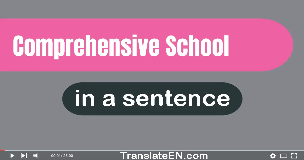 Use "comprehensive school" in a sentence | "comprehensive school" sentence examples