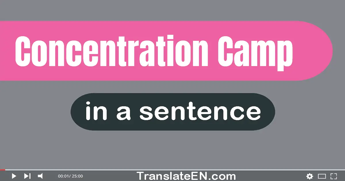 Use "concentration camp" in a sentence | "concentration camp" sentence examples