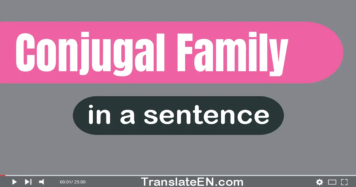 Use "conjugal family" in a sentence | "conjugal family" sentence examples