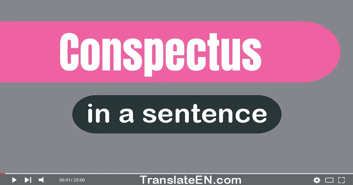 Use "conspectus" in a sentence | "conspectus" sentence examples
