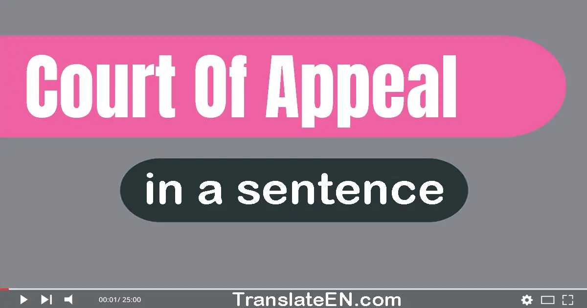 Use "court of appeal" in a sentence | "court of appeal" sentence examples