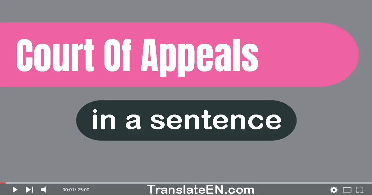 Use "court of appeals" in a sentence | "court of appeals" sentence examples