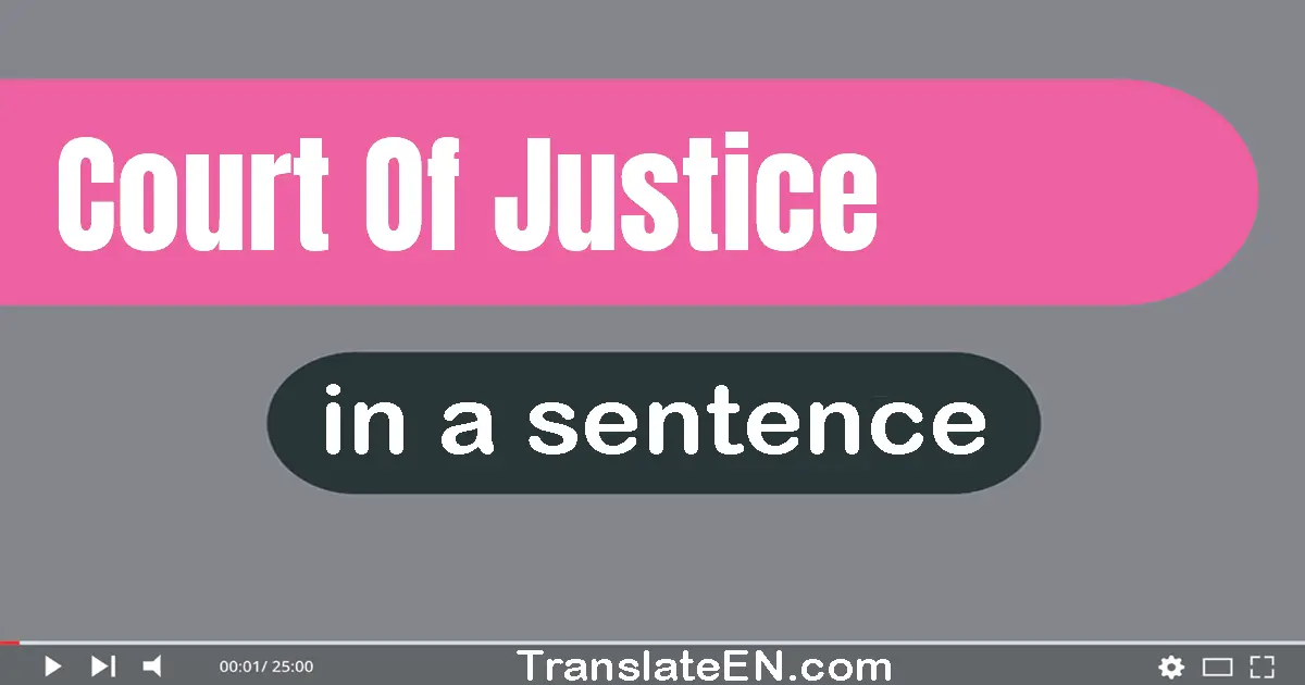 Use "court of justice" in a sentence | "court of justice" sentence examples