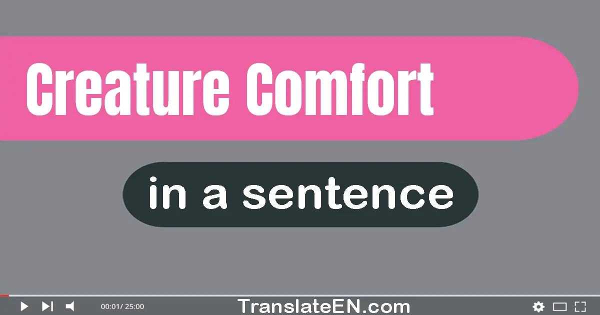 Use "creature comfort" in a sentence | "creature comfort" sentence examples