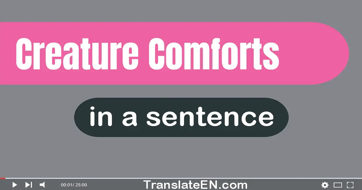 Use "creature comforts" in a sentence | "creature comforts" sentence examples
