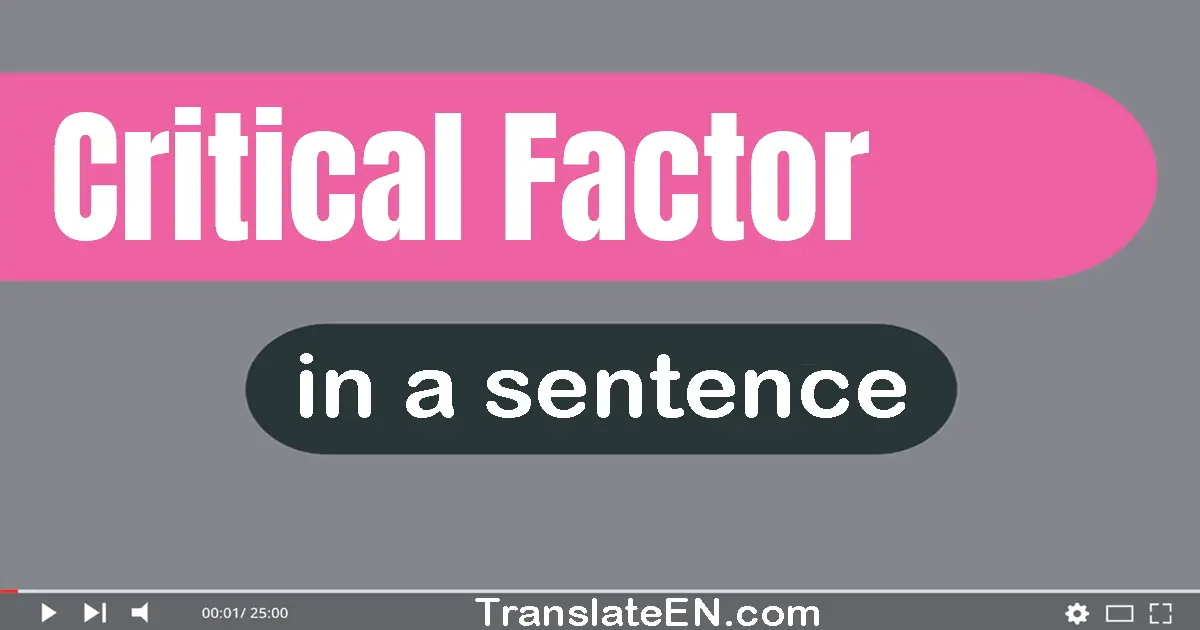 Use "critical factor" in a sentence | "critical factor" sentence examples