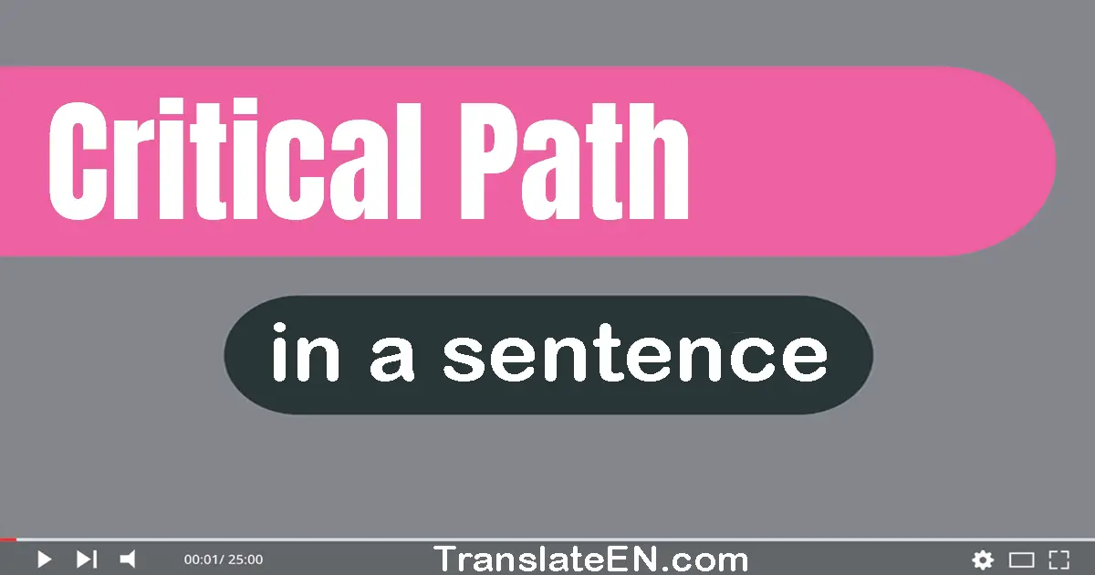 Use "critical path" in a sentence | "critical path" sentence examples