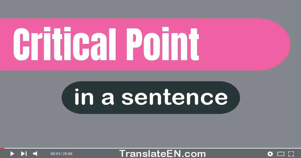 Use "critical point" in a sentence | "critical point" sentence examples