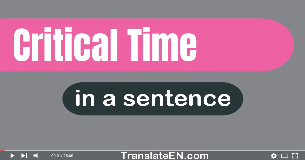 Use "critical time" in a sentence | "critical time" sentence examples