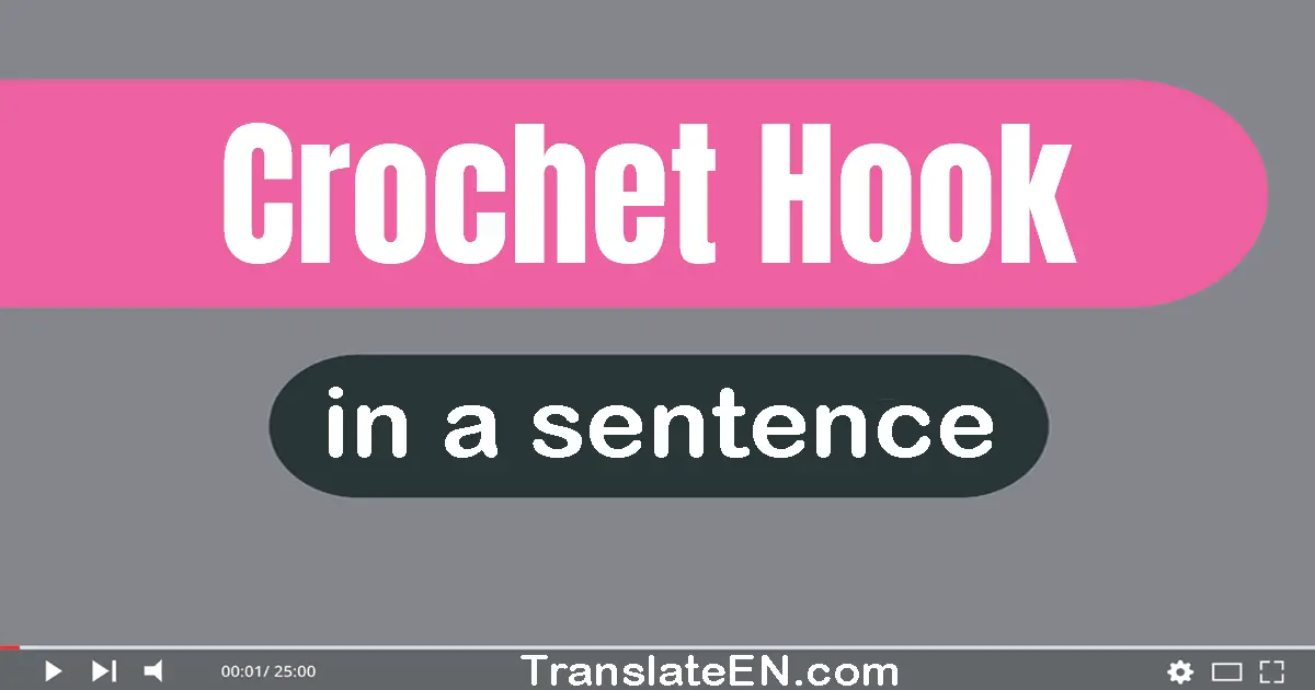 Use "crochet hook" in a sentence | "crochet hook" sentence examples