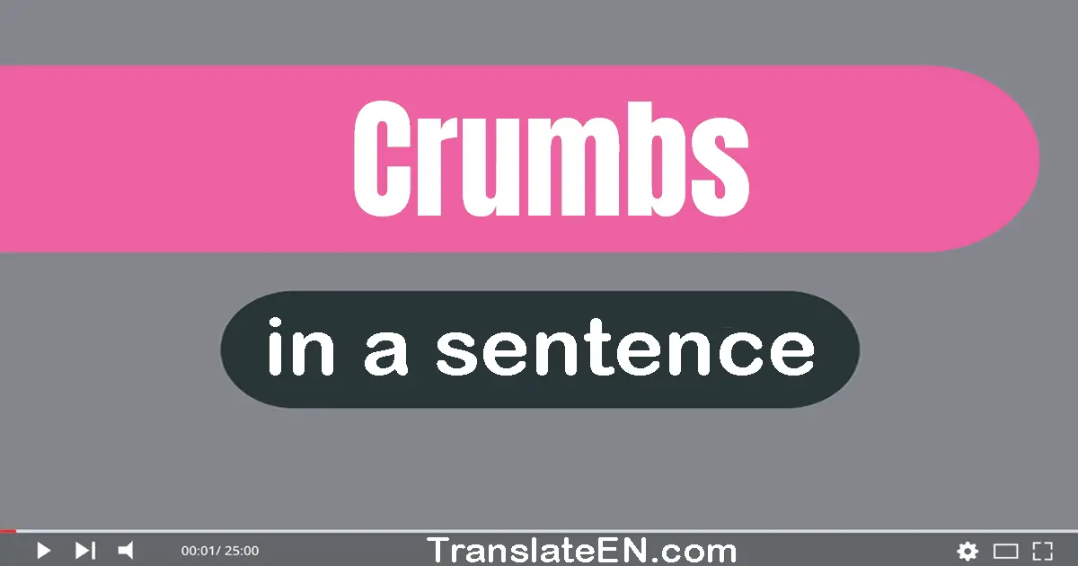 Use "crumbs" in a sentence | "crumbs" sentence examples