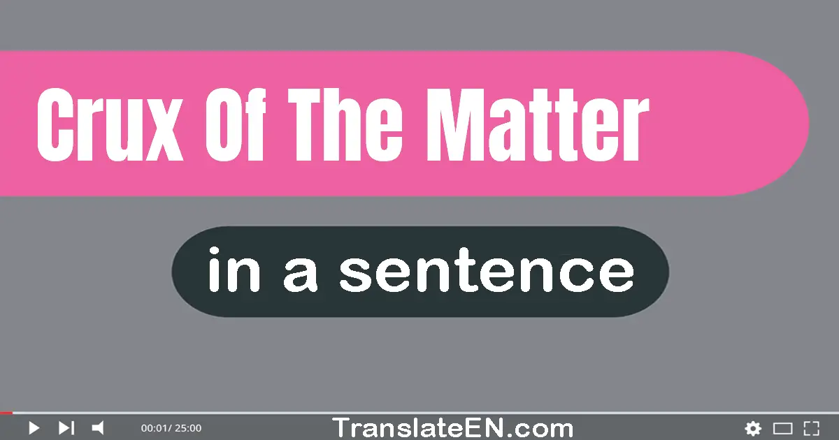 Use "crux of the matter" in a sentence | "crux of the matter" sentence examples
