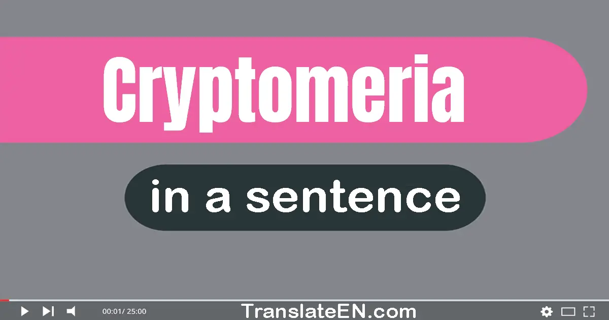 Use "cryptomeria" in a sentence | "cryptomeria" sentence examples