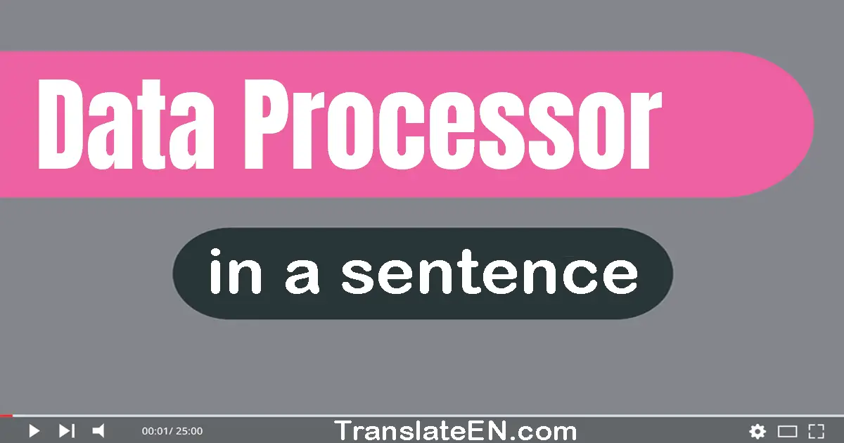 Use "data processor" in a sentence | "data processor" sentence examples