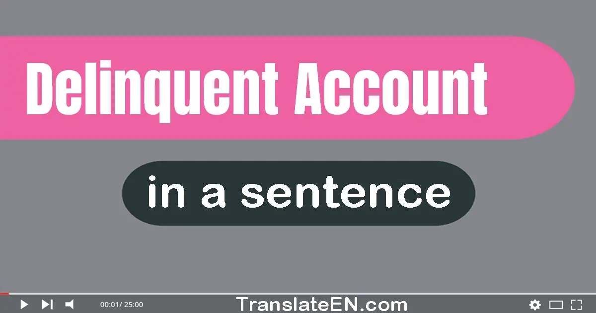Use "delinquent account" in a sentence | "delinquent account" sentence examples