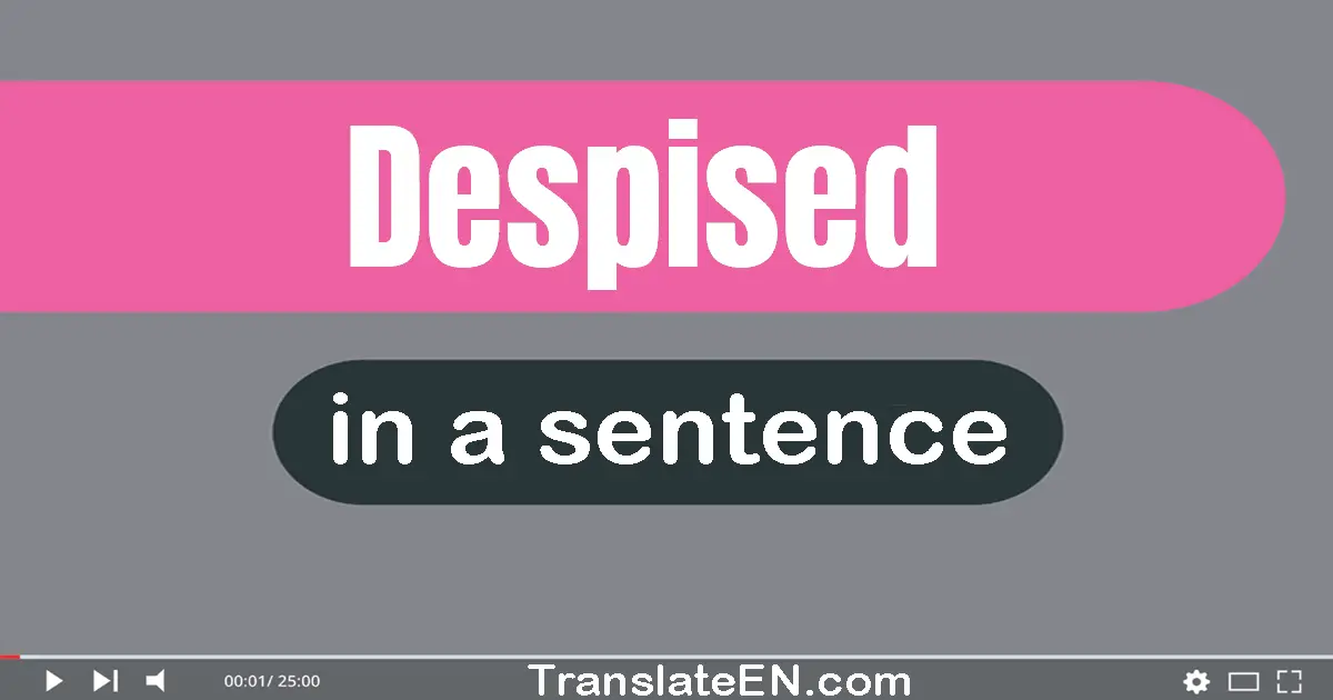 Use "despised" in a sentence | "despised" sentence examples