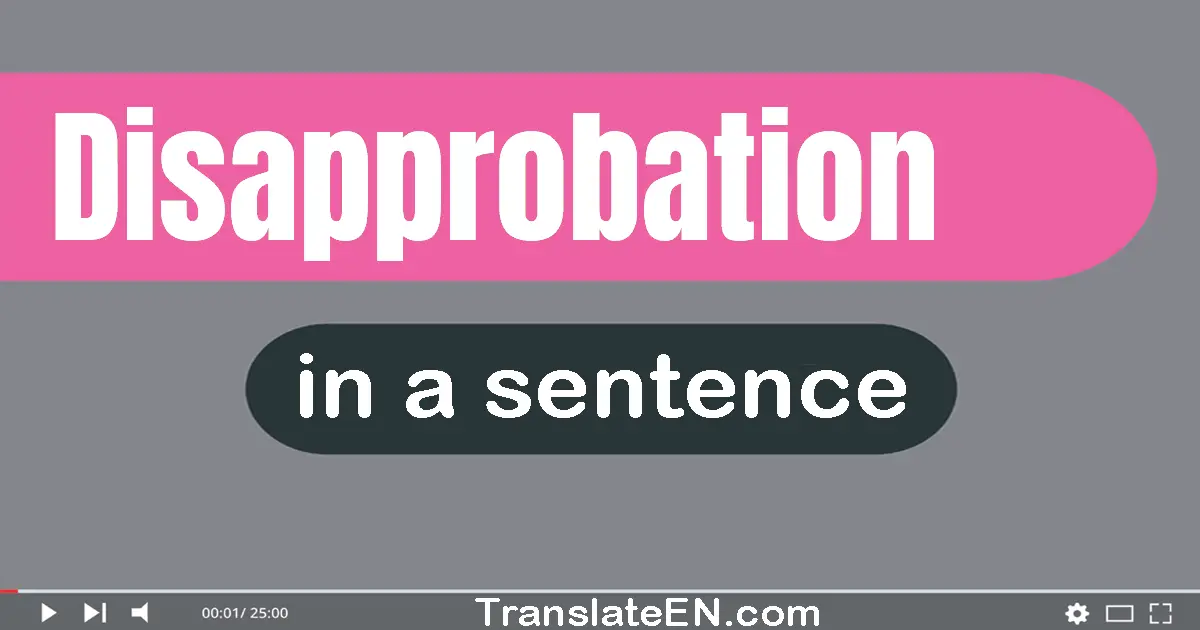 Use "disapprobation" in a sentence | "disapprobation" sentence examples