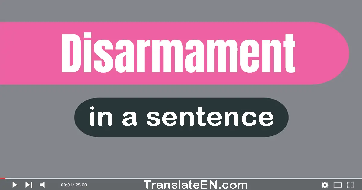 Use "disarmament" in a sentence | "disarmament" sentence examples