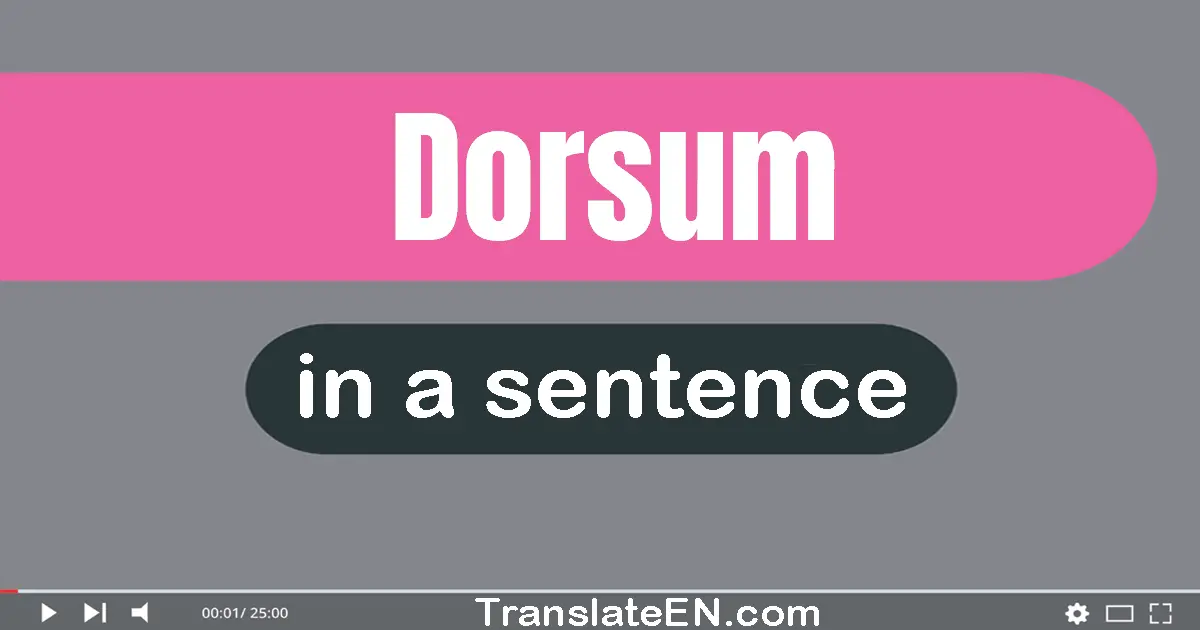 Use "dorsum" in a sentence | "dorsum" sentence examples