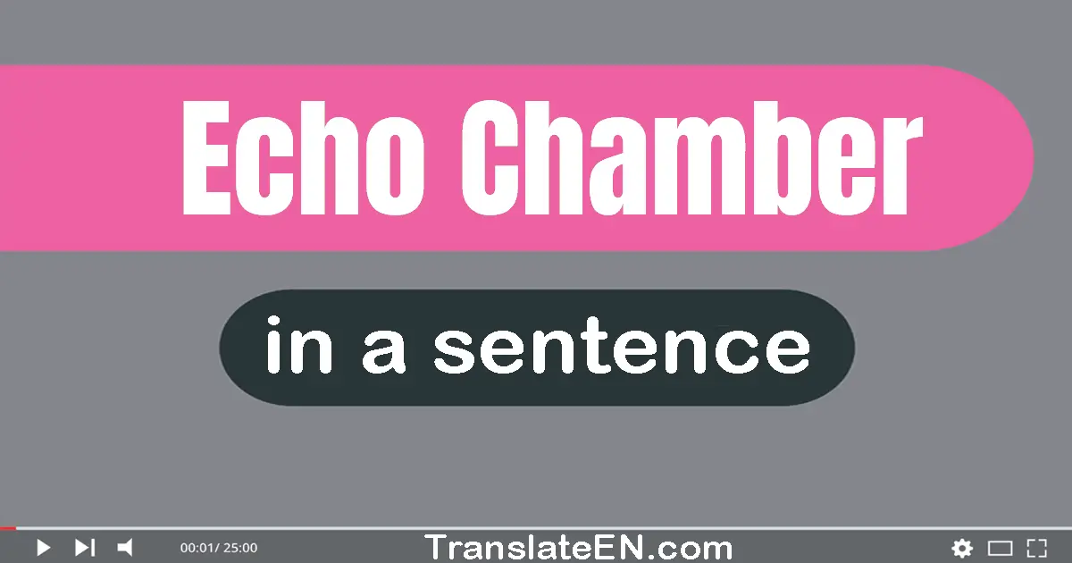 Use "echo chamber" in a sentence | "echo chamber" sentence examples