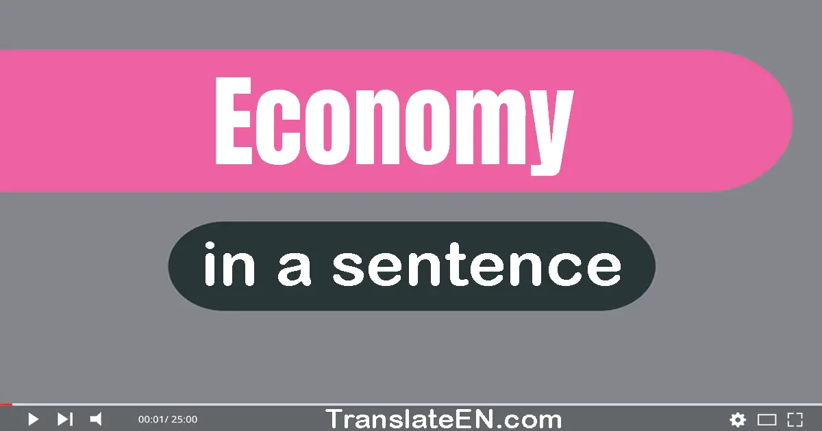 Use "economy" in a sentence | "economy" sentence examples