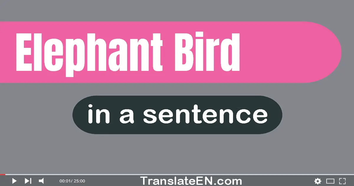 Use "elephant bird" in a sentence | "elephant bird" sentence examples