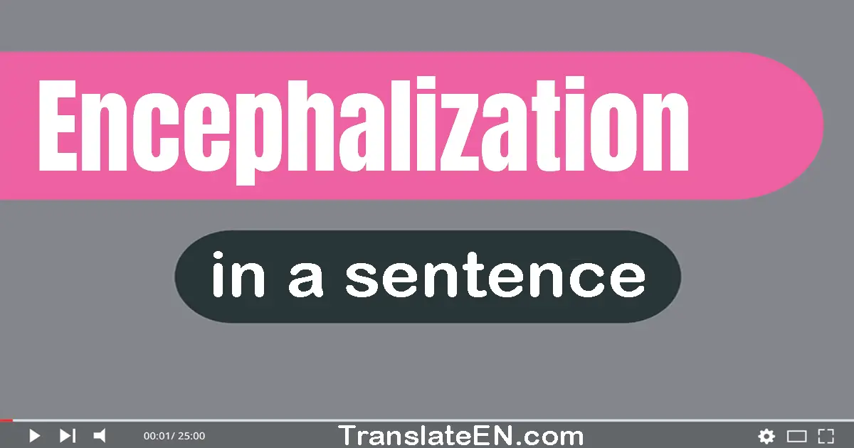 Use "encephalization" in a sentence | "encephalization" sentence examples