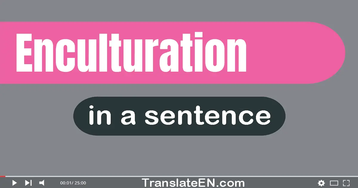 Use "enculturation" in a sentence | "enculturation" sentence examples
