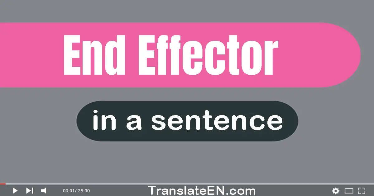 Use "end effector" in a sentence | "end effector" sentence examples