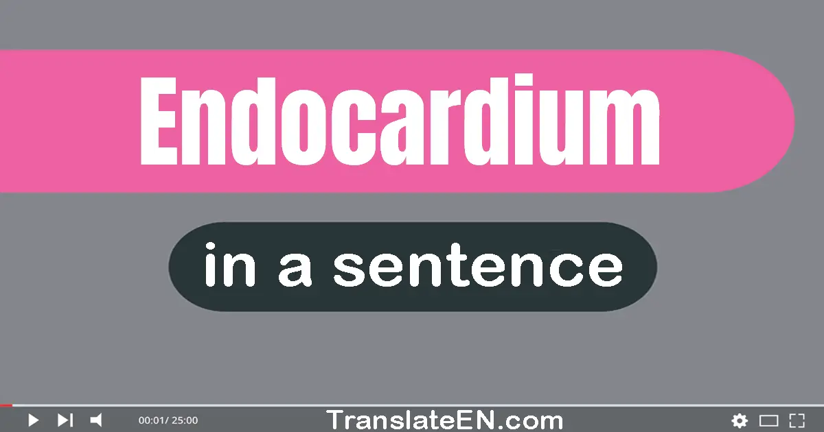 Use "endocardium" in a sentence | "endocardium" sentence examples