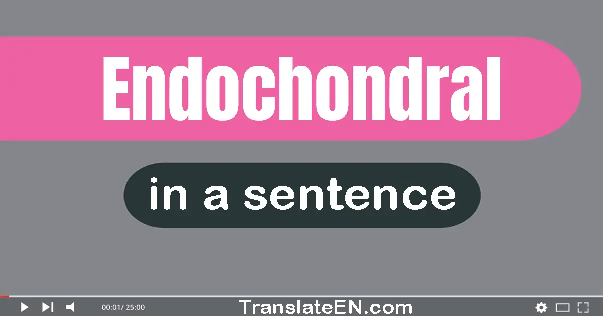 Use "endochondral" in a sentence | "endochondral" sentence examples