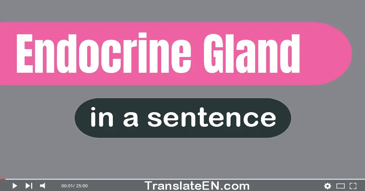 Use "endocrine gland" in a sentence | "endocrine gland" sentence examples