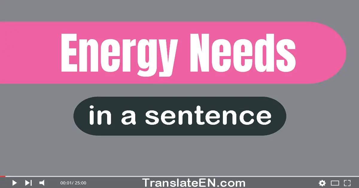 Use "energy needs" in a sentence | "energy needs" sentence examples