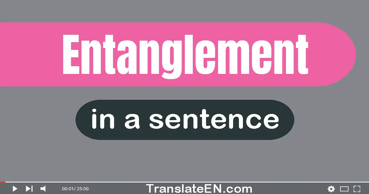 Use "entanglement" in a sentence | "entanglement" sentence examples