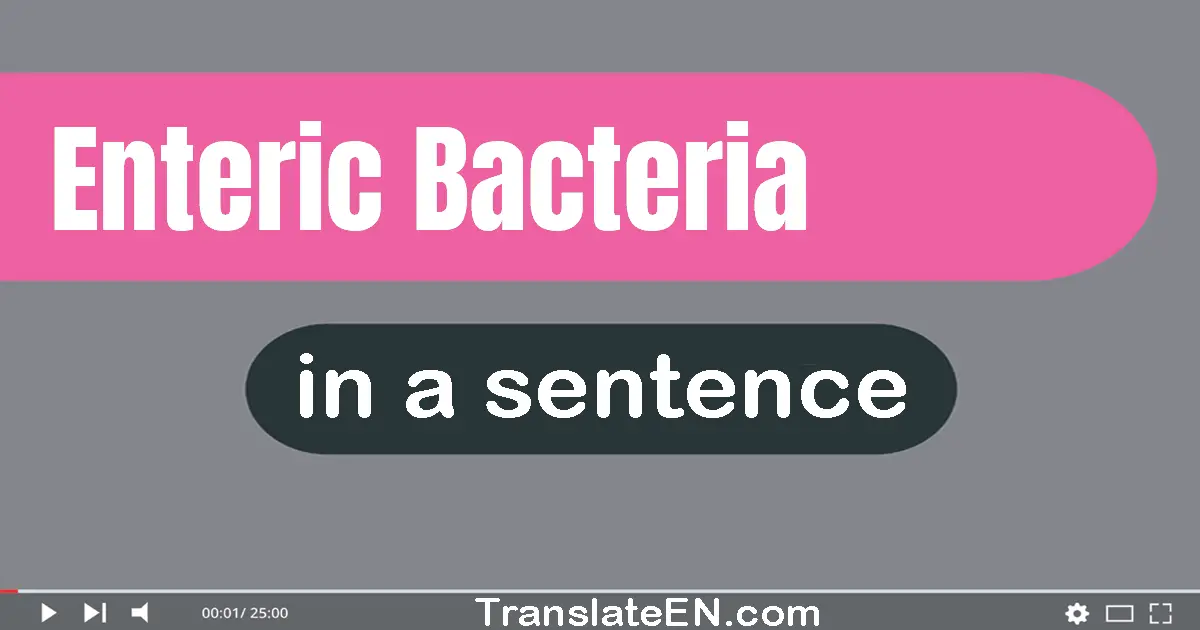 Use "enteric bacteria" in a sentence | "enteric bacteria" sentence examples