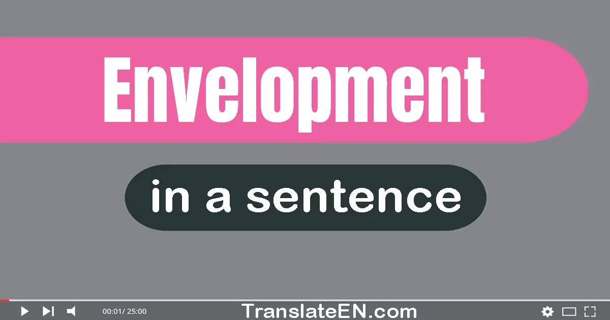 Use "envelopment" in a sentence | "envelopment" sentence examples