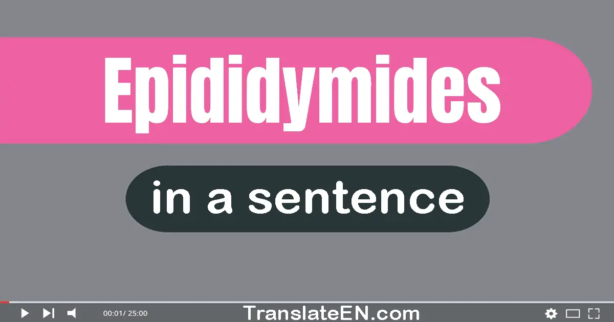Use "epididymides" in a sentence | "epididymides" sentence examples