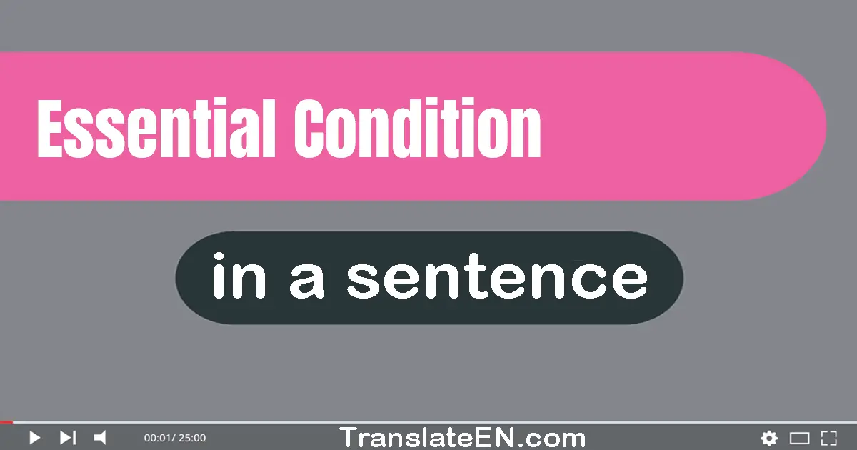 Use "essential condition" in a sentence | "essential condition" sentence examples