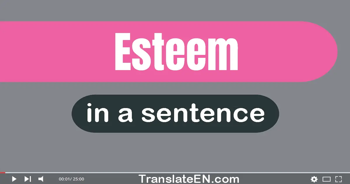 Use "esteem" in a sentence | "esteem" sentence examples