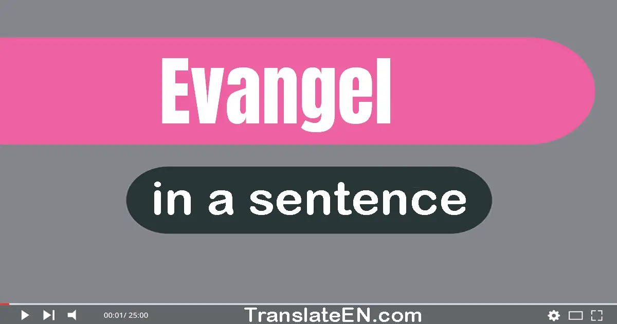 Use "evangel" in a sentence | "evangel" sentence examples