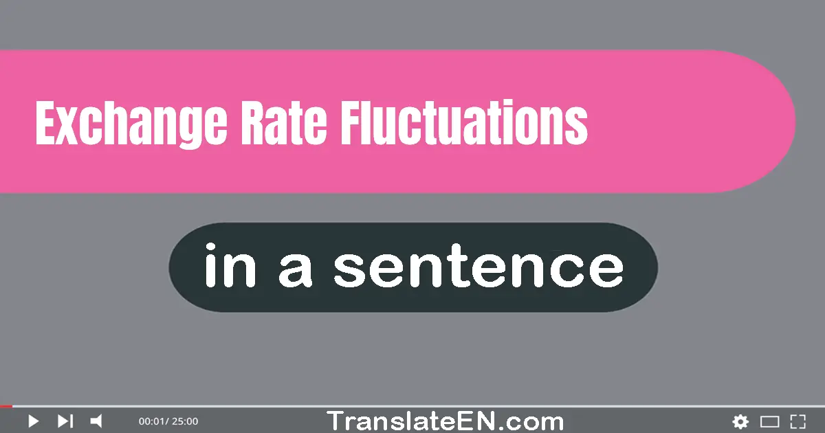 Use "exchange rate fluctuations" in a sentence | "exchange rate fluctuations" sentence examples
