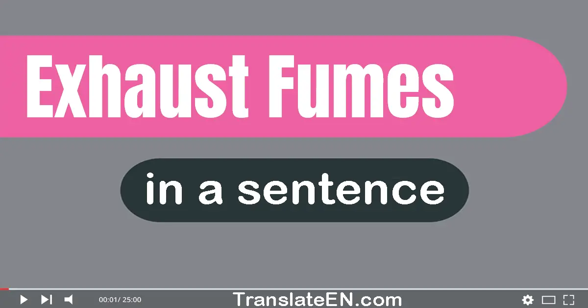 Use "exhaust fumes" in a sentence | "exhaust fumes" sentence examples