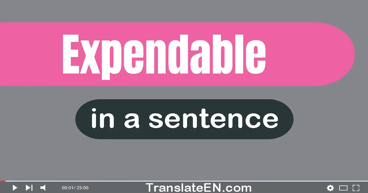 Use "expendable" in a sentence | "expendable" sentence examples