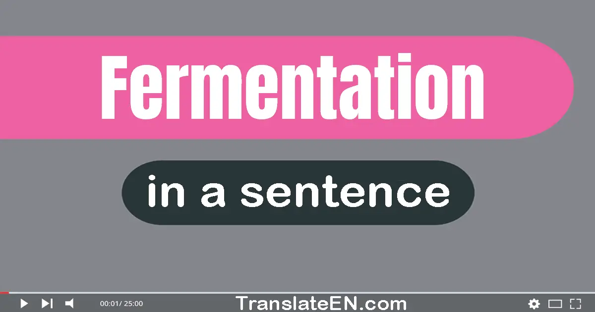 Use "fermentation" in a sentence | "fermentation" sentence examples